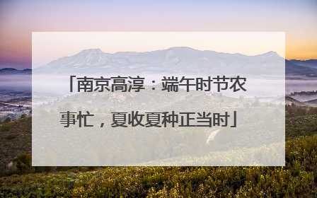 南京高淳：端午时节农事忙，夏收夏种正当时