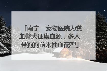 南宁一宠物医院为贫血警犬征集血源，多人带狗狗前来抽血配型