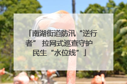 南湖街道防汛“逆行者” 拉网式巡查守护民生“水位线”