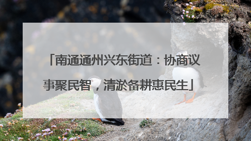 南通通州兴东街道：协商议事聚民智，清淤备耕惠民生
