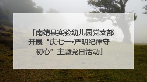 南靖县实验幼儿园党支部开展“庆七一•严明纪律守初心”主题党日活动