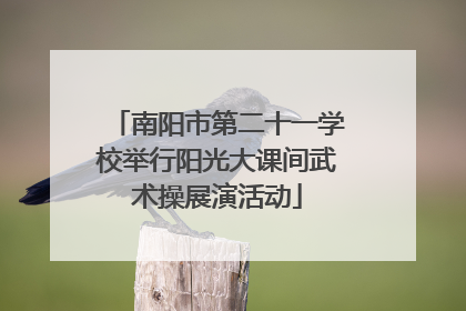 南阳市第二十一学校举行阳光大课间武术操展演活动
