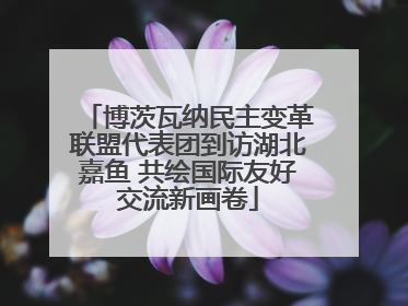 博茨瓦纳民主变革联盟代表团到访湖北嘉鱼 共绘国际友好交流新画卷