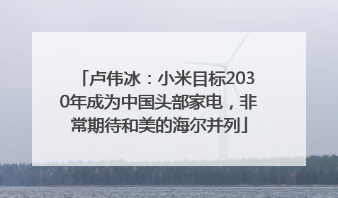 卢伟冰：小米目标2030年成为中国头部家电，非常期待和美的海尔并列