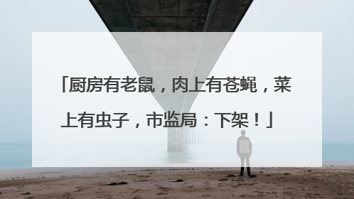 厨房有老鼠，肉上有苍蝇，菜上有虫子，市监局：下架！