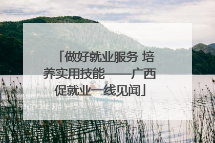 做好就业服务 培养实用技能——广西促就业一线见闻