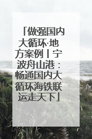 做强国内大循环·地方案例丨宁波舟山港：畅通国内大循环海铁联运走天下