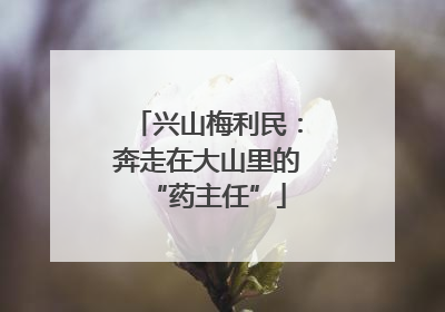 兴山梅利民：奔走在大山里的“药主任”