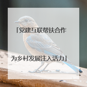 党建互联帮扶合作 为乡村发展注入活力