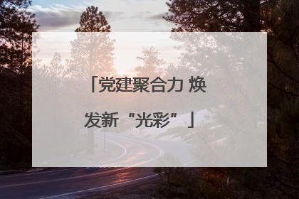 党建聚合力 焕发新“光彩”