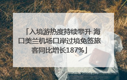 入境游热度持续攀升 海口美兰机场口岸过境免签旅客同比增长187%