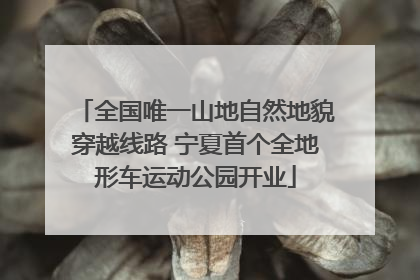 全国唯一山地自然地貌穿越线路 宁夏首个全地形车运动公园开业