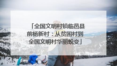 全国文明村镇临邑县前杨新村：从贫困村到全国文明村华丽蜕变