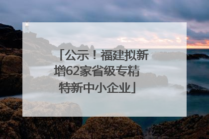 公示！福建拟新增62家省级专精特新中小企业