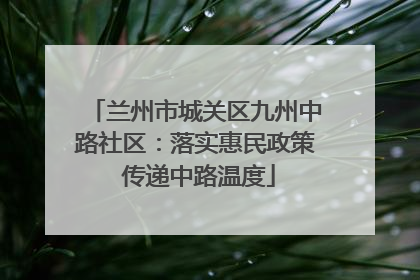兰州市城关区九州中路社区：落实惠民政策 传递中路温度