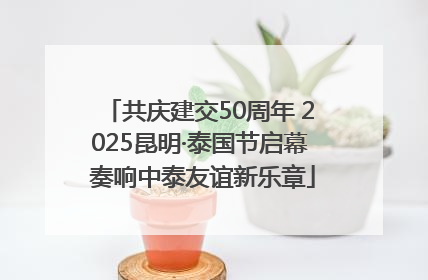 共庆建交50周年 2025昆明·泰国节启幕 奏响中泰友谊新乐章