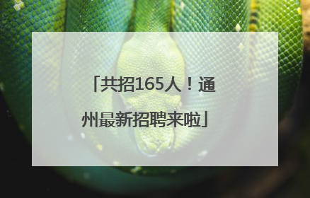 共招165人！通州最新招聘来啦
