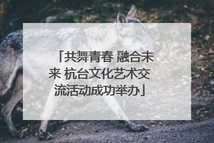 共舞青春 融合未来 杭台文化艺术交流活动成功举办