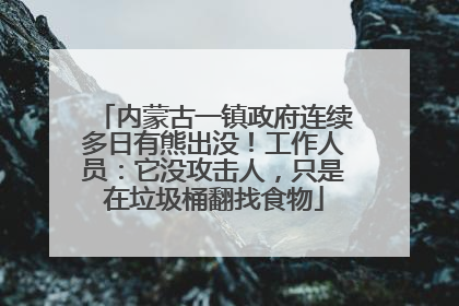 内蒙古一镇政府连续多日有熊出没！工作人员：它没攻击人，只是在垃圾桶翻找食物