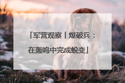 军营观察丨爆破兵：在轰鸣中完成蜕变