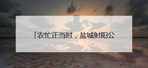 农忙正当时，盐城射阳公安护航田间地头保平安