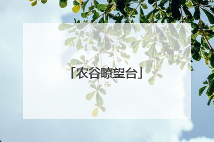 农谷瞭望台