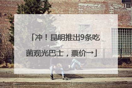 冲！昆明推出9条吃菌观光巴士，票价→