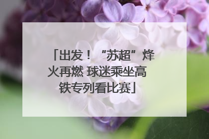 出发！“苏超”烽火再燃 球迷乘坐高铁专列看比赛