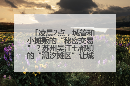 凌晨2点，城管和小摊贩的“秘密交易”？苏州吴江七都镇的“潮汐摊区”让城市管理有了人情味