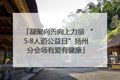 凝聚向善向上力量 “5·8人道公益日”扬州分会场有爱有健康