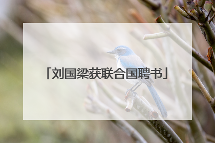 刘国梁获联合国聘书