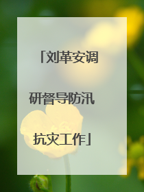 刘革安调研督导防汛抗灾工作