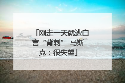 刚走一天就遭白宫“背刺” 马斯克：很失望