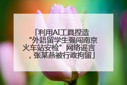 利用AI工具捏造 “外籍留学生强闯南京火车站安检”网络谣言，张某燕被行政拘留