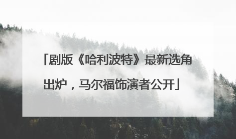 剧版《哈利波特》最新选角出炉，马尔福饰演者公开