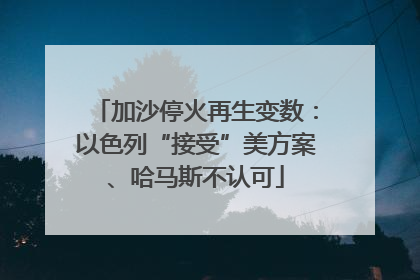 加沙停火再生变数：以色列“接受”美方案、哈马斯不认可