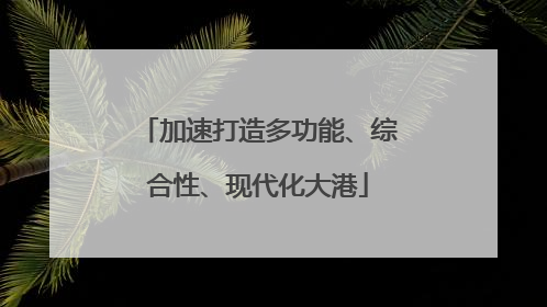 加速打造多功能、综合性、现代化大港