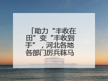 助力“丰收在田”变“丰收到手”，河北各地各部门厉兵秣马迎战“三夏”