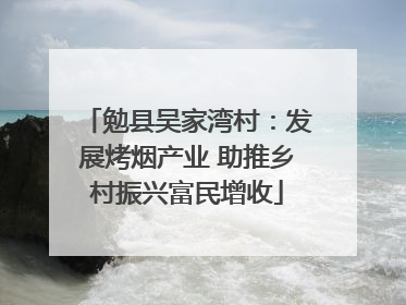 勉县吴家湾村：发展烤烟产业 助推乡村振兴富民增收