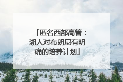 匿名西部高管：湖人对布朗尼有明确的培养计划