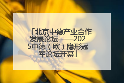 北京中德产业合作发展论坛——2025中德（欧）隐形冠军论坛开幕
