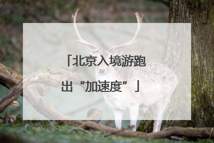 北京入境游跑出“加速度”