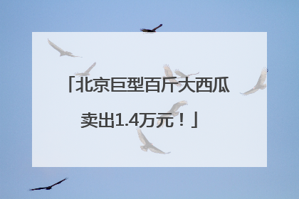 北京巨型百斤大西瓜卖出1.4万元！