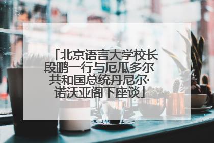 北京语言大学校长段鹏一行与厄瓜多尔共和国总统丹尼尔·诺沃亚阁下座谈