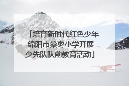 培育新时代红色少年 绵阳市桑枣小学开展少先队队前教育活动