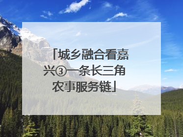 城乡融合看嘉兴③一条长三角农事服务链