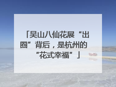 吴山八仙花展“出圈”背后，是杭州的“花式幸福”