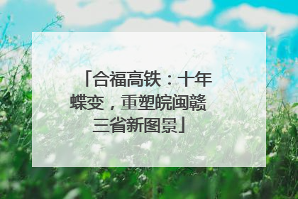 合福高铁：十年蝶变，重塑皖闽赣三省新图景
