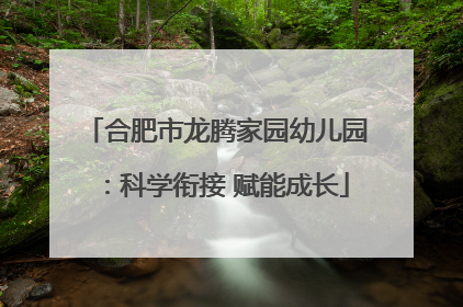 合肥市龙腾家园幼儿园：科学衔接 赋能成长