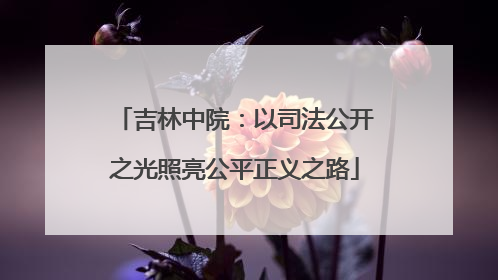 吉林中院：以司法公开之光照亮公平正义之路